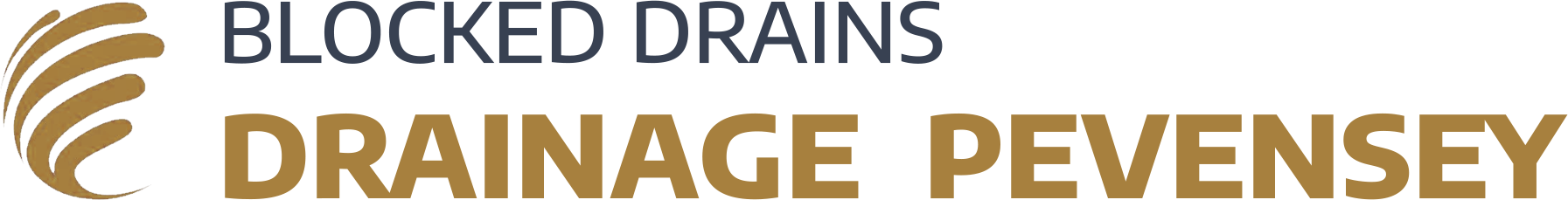website logo